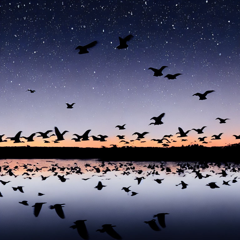 Twilight scene: Birds flying over water with star reflections