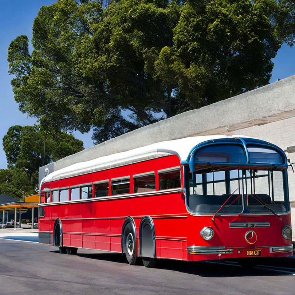 Vintage Red Double-Decker Bus Parked Under Tree on Sunny Day
