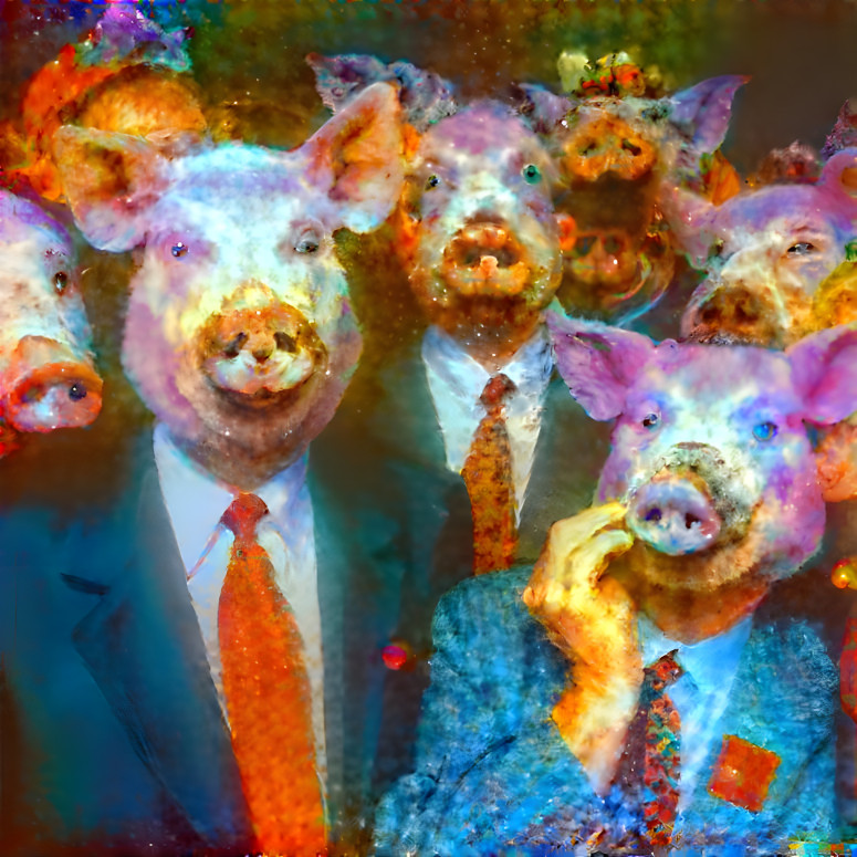Pig politicians 