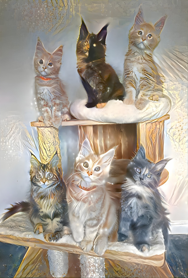 Kute Kitties