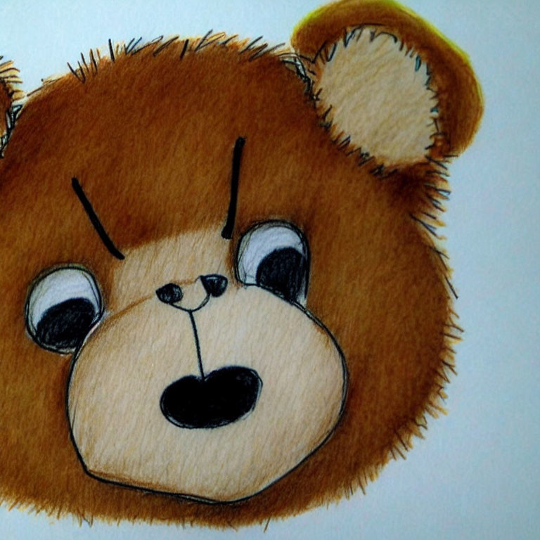 Chubby brown cartoon bear with black nose and quizzical expression