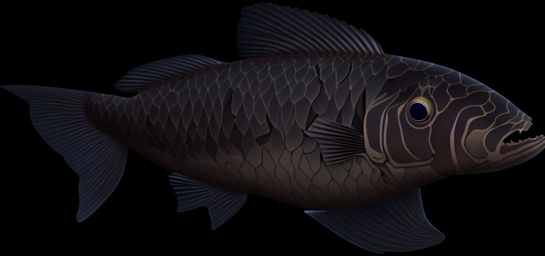 Detailed Dark Scaled Fish Illustration on Black Background