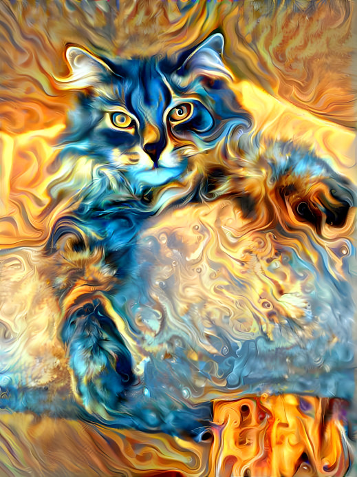 Kitty on Fire