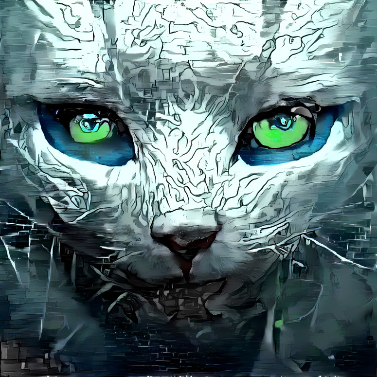 White cat blue/green eyes