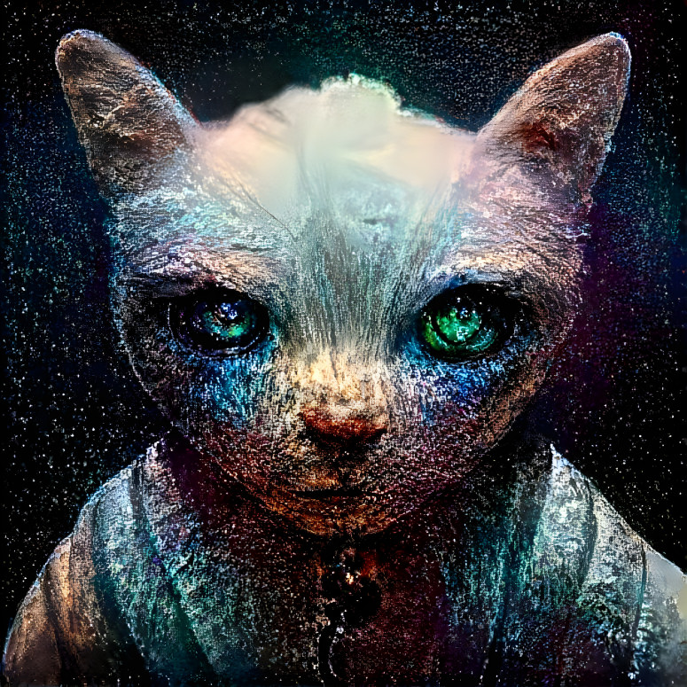 Galaxy cat dream