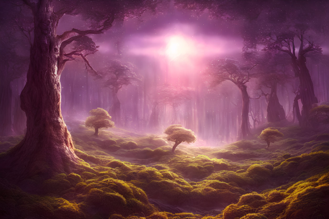 Enchanting forest scene with purple light and glowing center