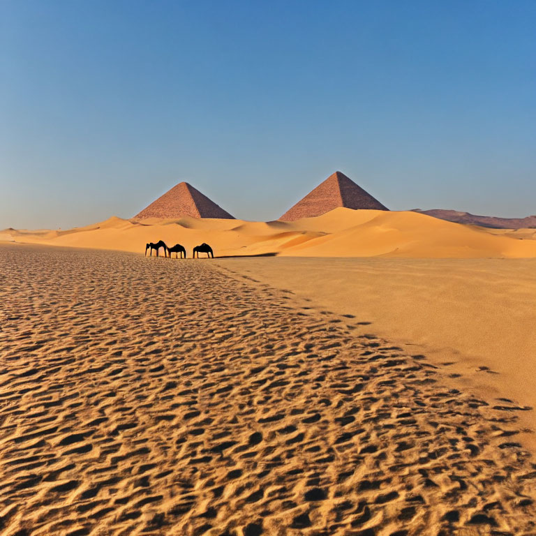 Desert landscape with camel caravan, pyramids, and blue sky.