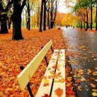 Tranquil autumn landscape with wooden bench and vibrant foliage