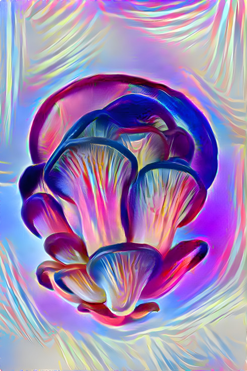 Mushroom dimension