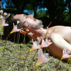 Bearded man lying among colorful wildflowers