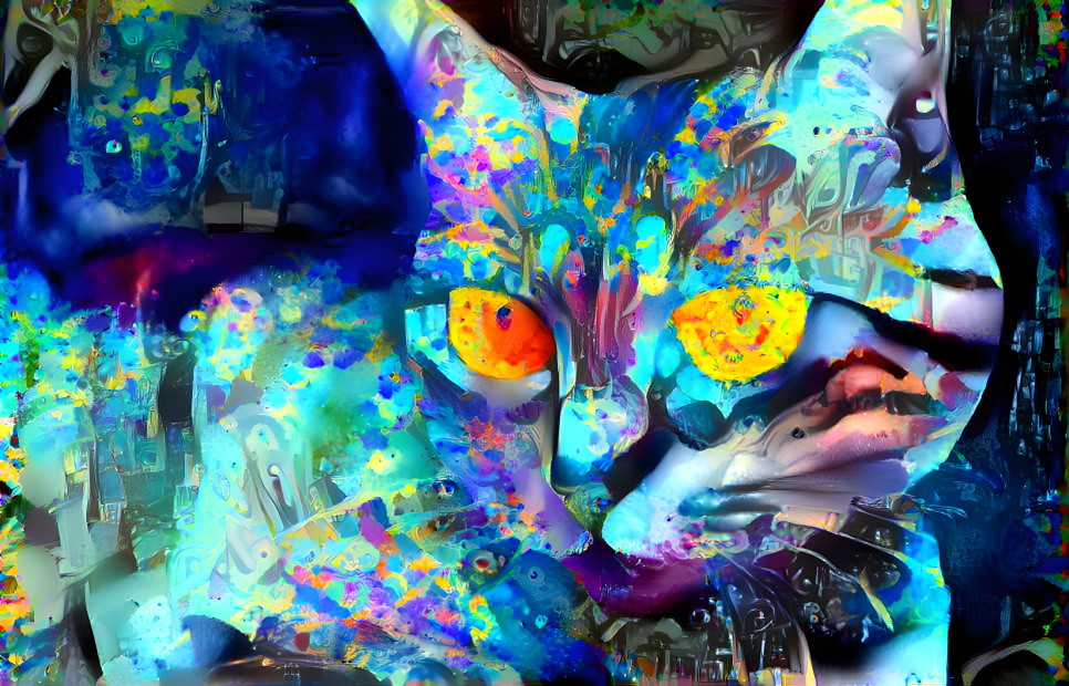 Cat Psychedelic