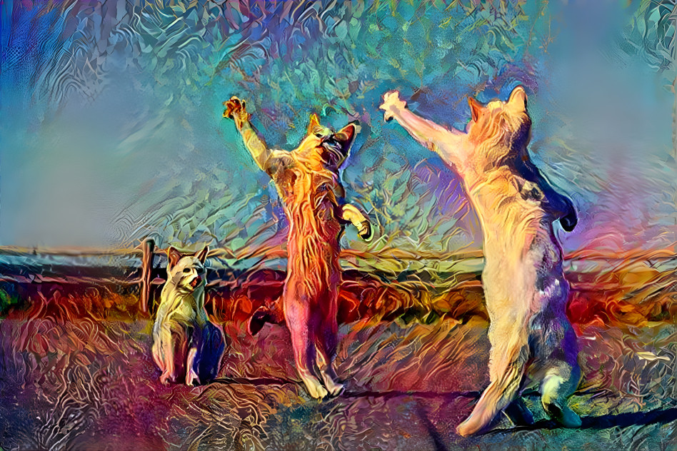Two Cats Dancing