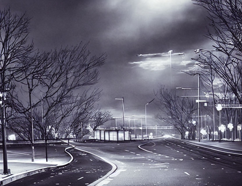 Deserted Night Road with Street Lights and Bare Trees