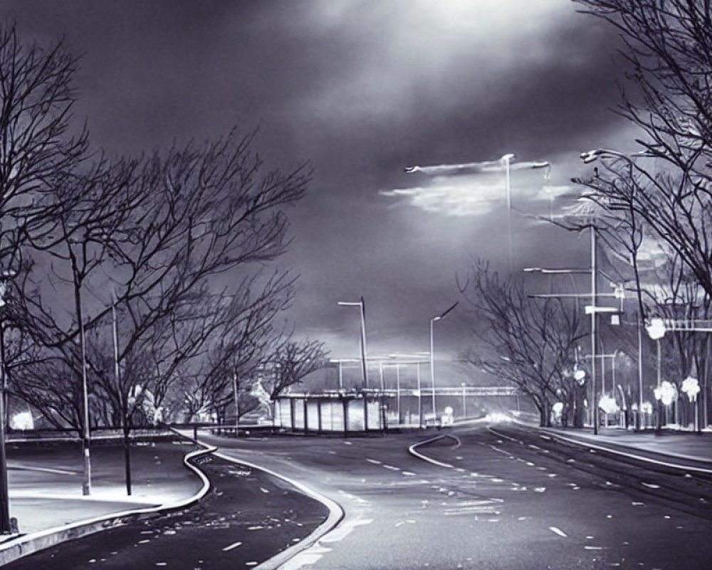 Deserted Night Road with Street Lights and Bare Trees