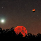 Bright Venus and red lunar eclipse in night sky with stars above silhouetted foliage