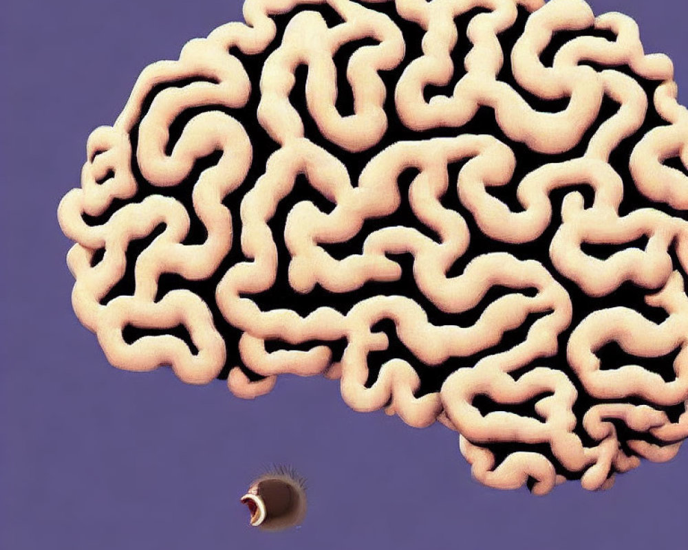 Illustrated brain with cartoon eyeball and feet on purple background