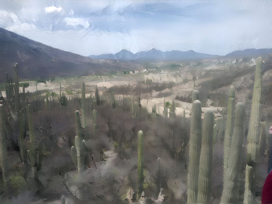 Desierto de Tehuacán-Cuicatlán 