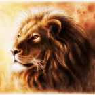 Colorful Digital Artwork of Stylized Lion with Intricate Mane