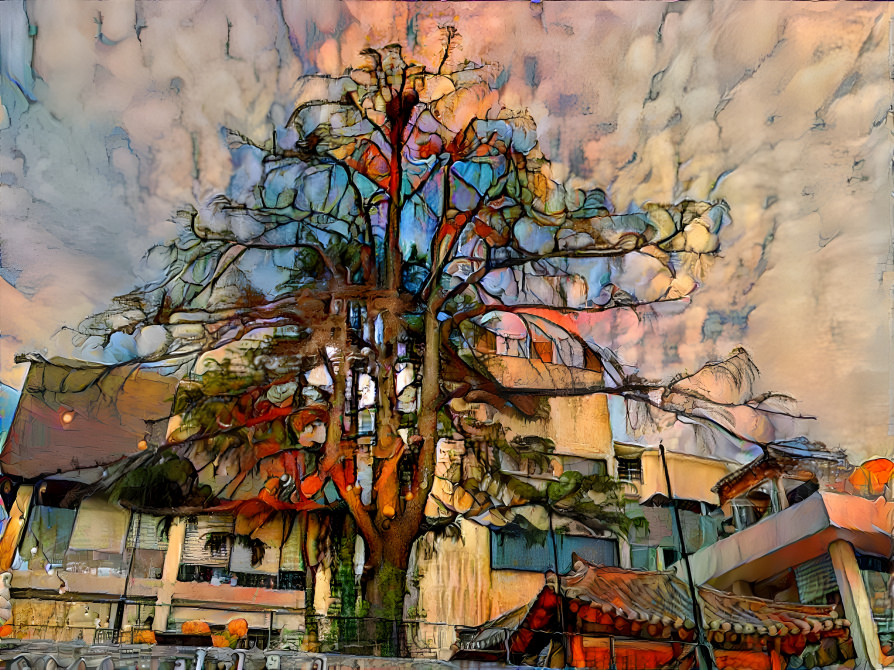 a big beautiful tree