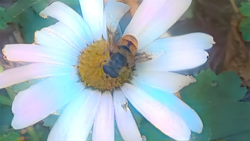 Honeybees in Love with Flowers 2