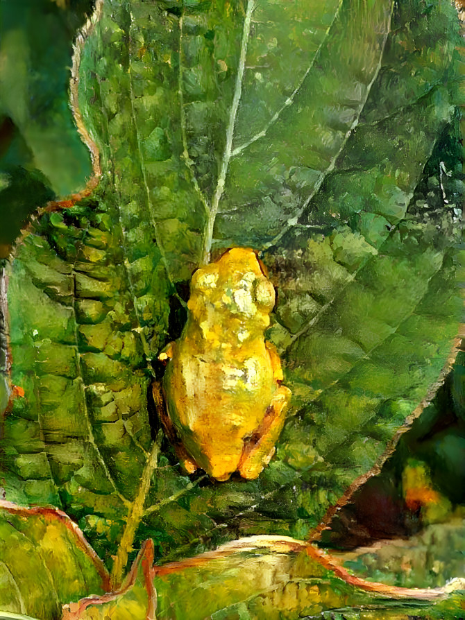 a frog on a leaf 2