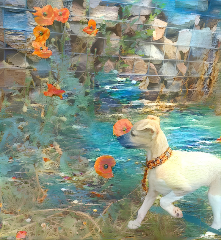  puppy with poppies