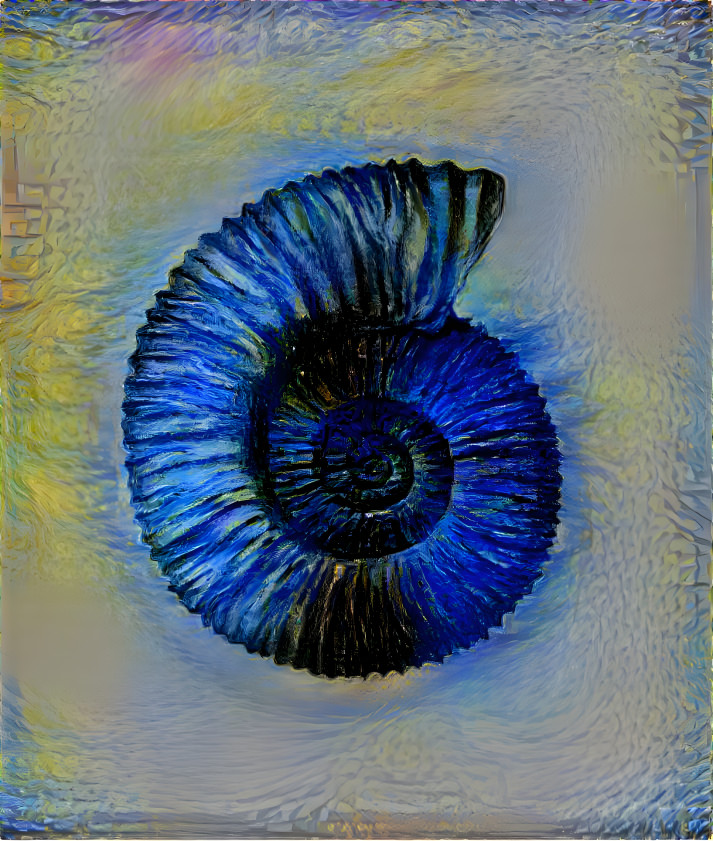 The blue ammonite