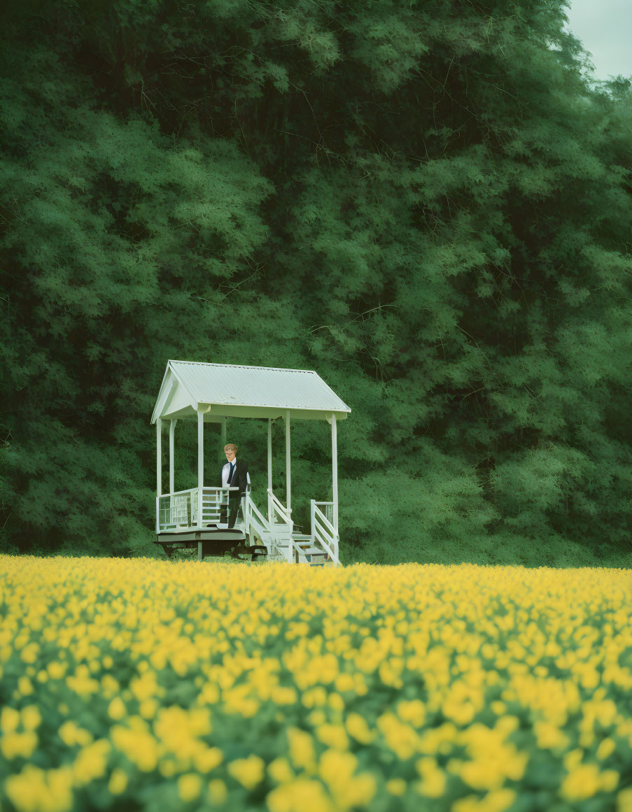 Person in Suit Standing in White Gazebo Surrounded by Yellow Flowers