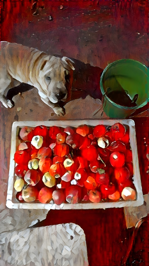 Dog, Bucket and Apples