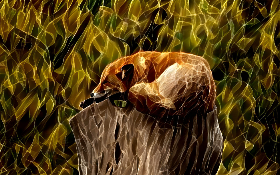 neon fox
