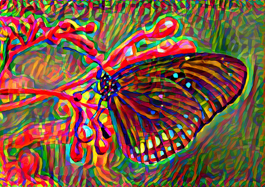 Patterned butterfly