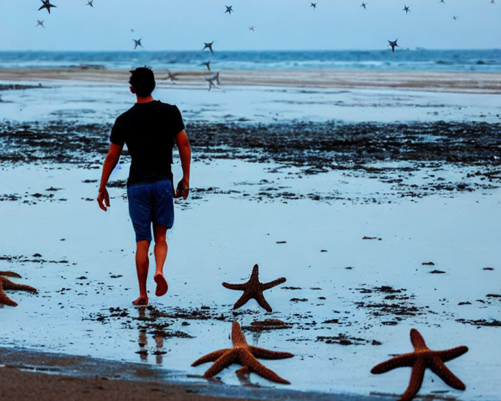Man walking on starfish beach at twilight with birds in sky