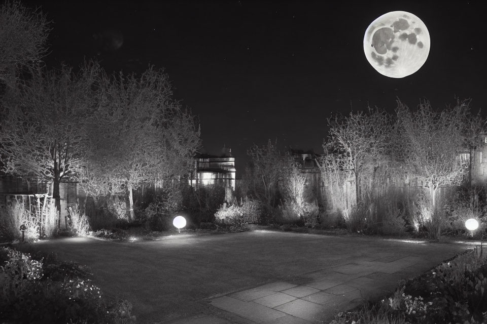 Tranquil monochrome night garden with full moon and spherical lights