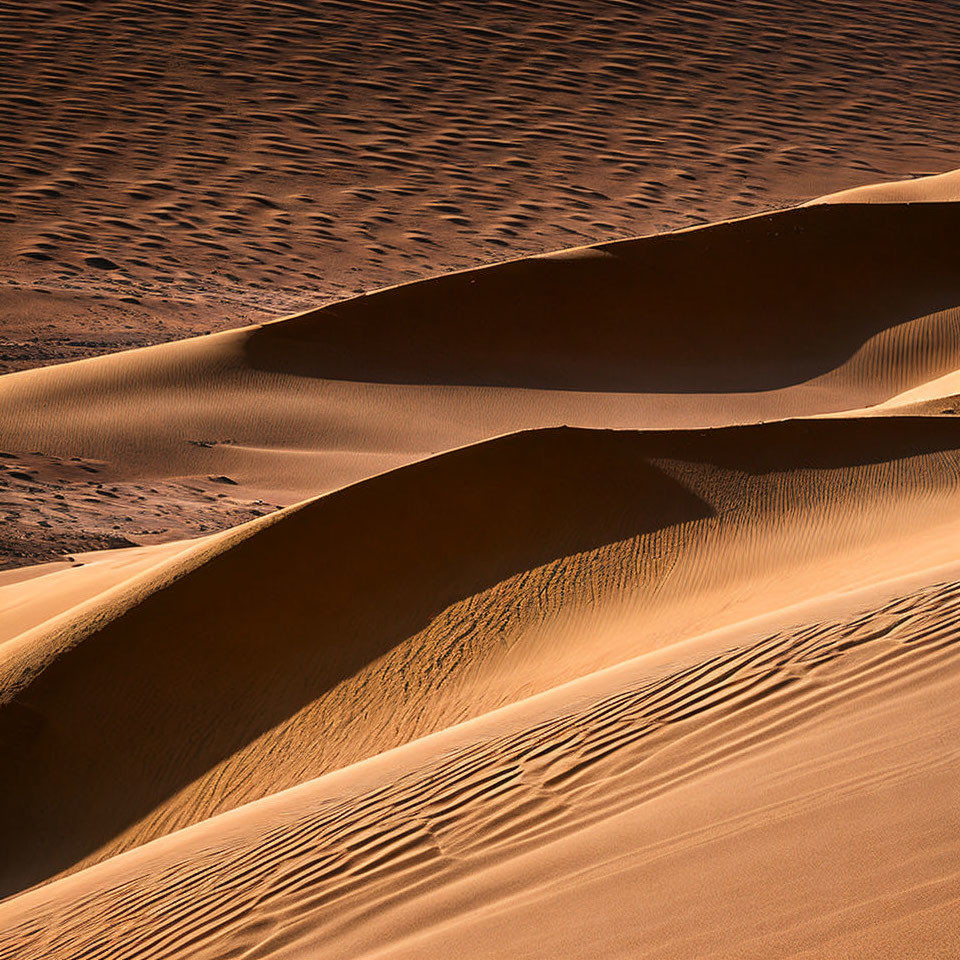 Sharp ridges and patterns of sand dunes in warm desert light