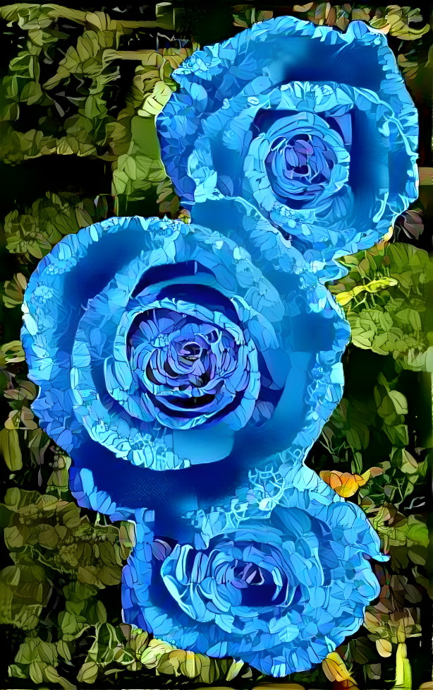 Vacker blå ros <3