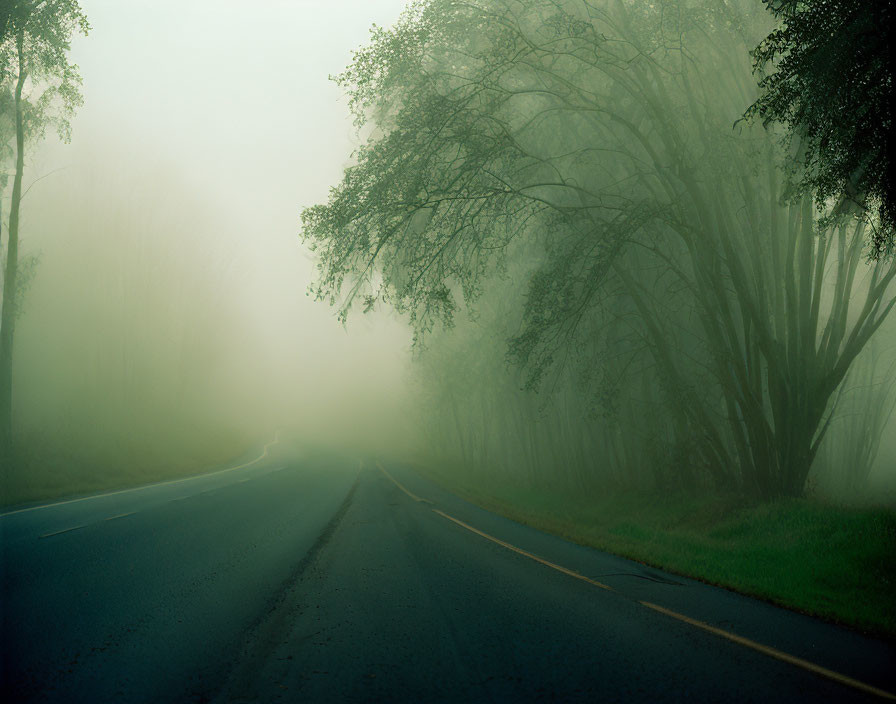 Foggy road scene