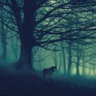 Mystical blue-toned forest with dense fog and towering trees