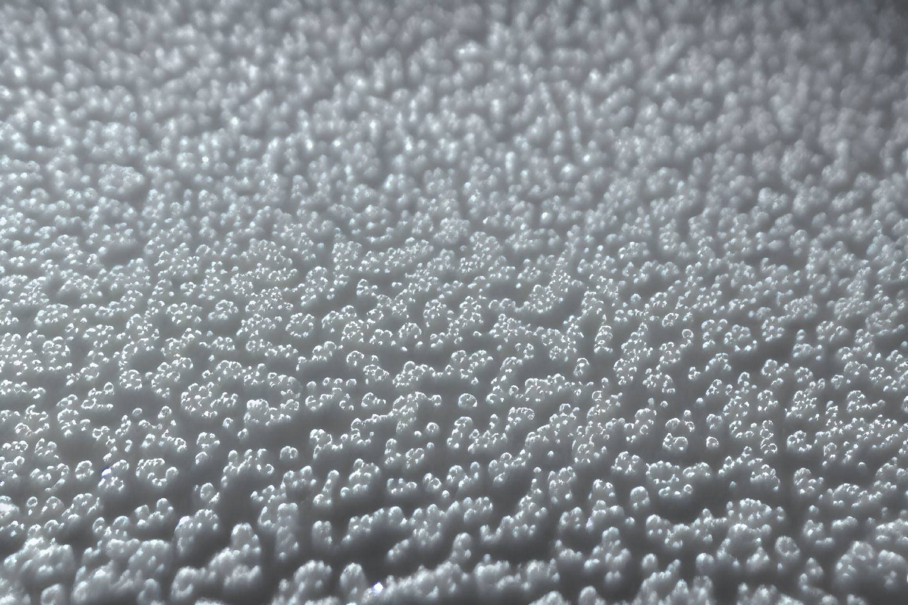 Textured surface with small white round bubbles clustered together
