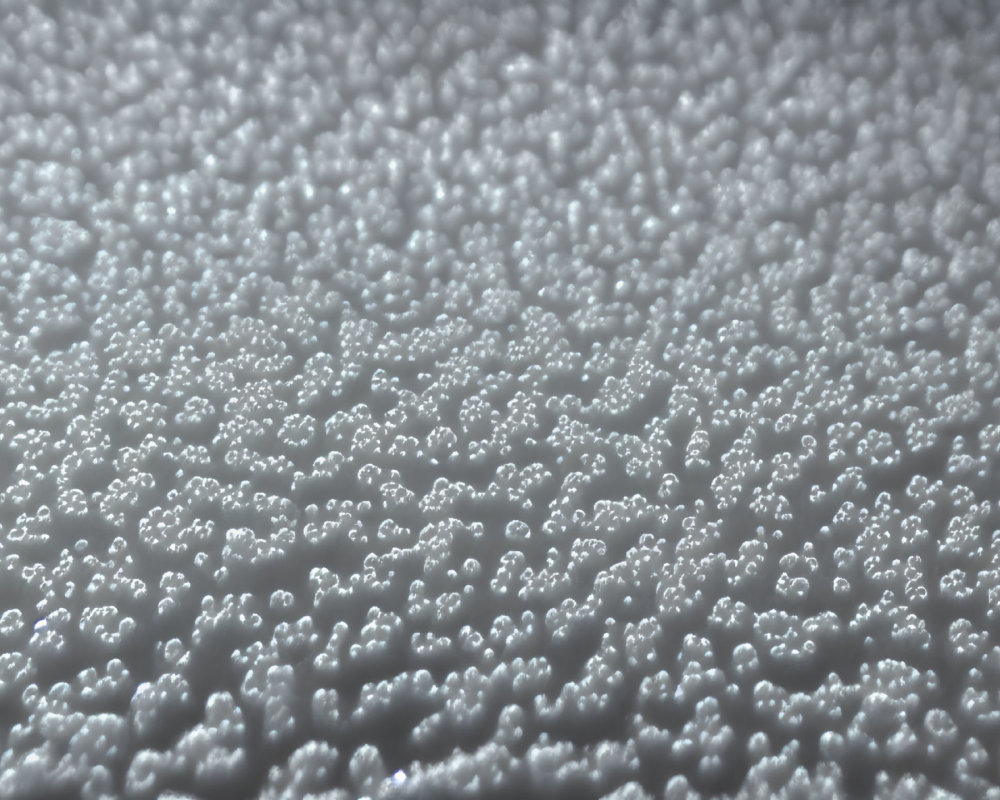 Textured surface with small white round bubbles clustered together