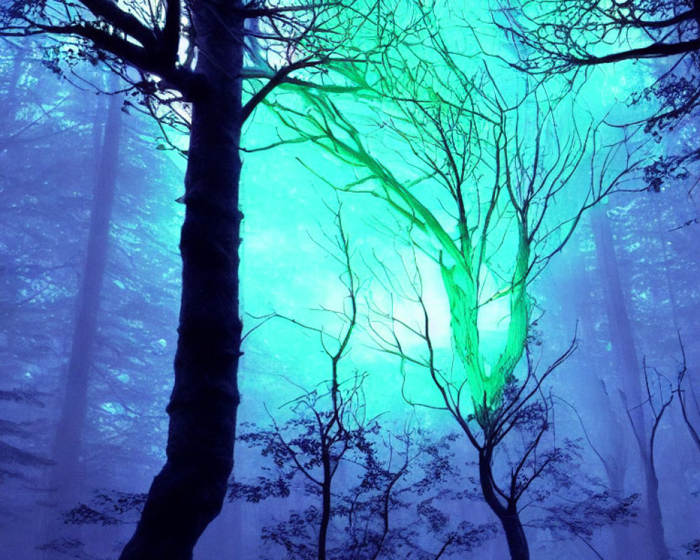 Mystical Teal Glow in Foggy Forest with Silhouetted Trees