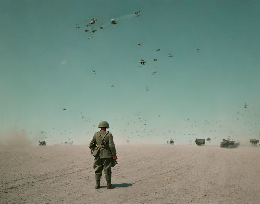 Desolate landscape with lone soldier, birds, and trucks under hazy sky