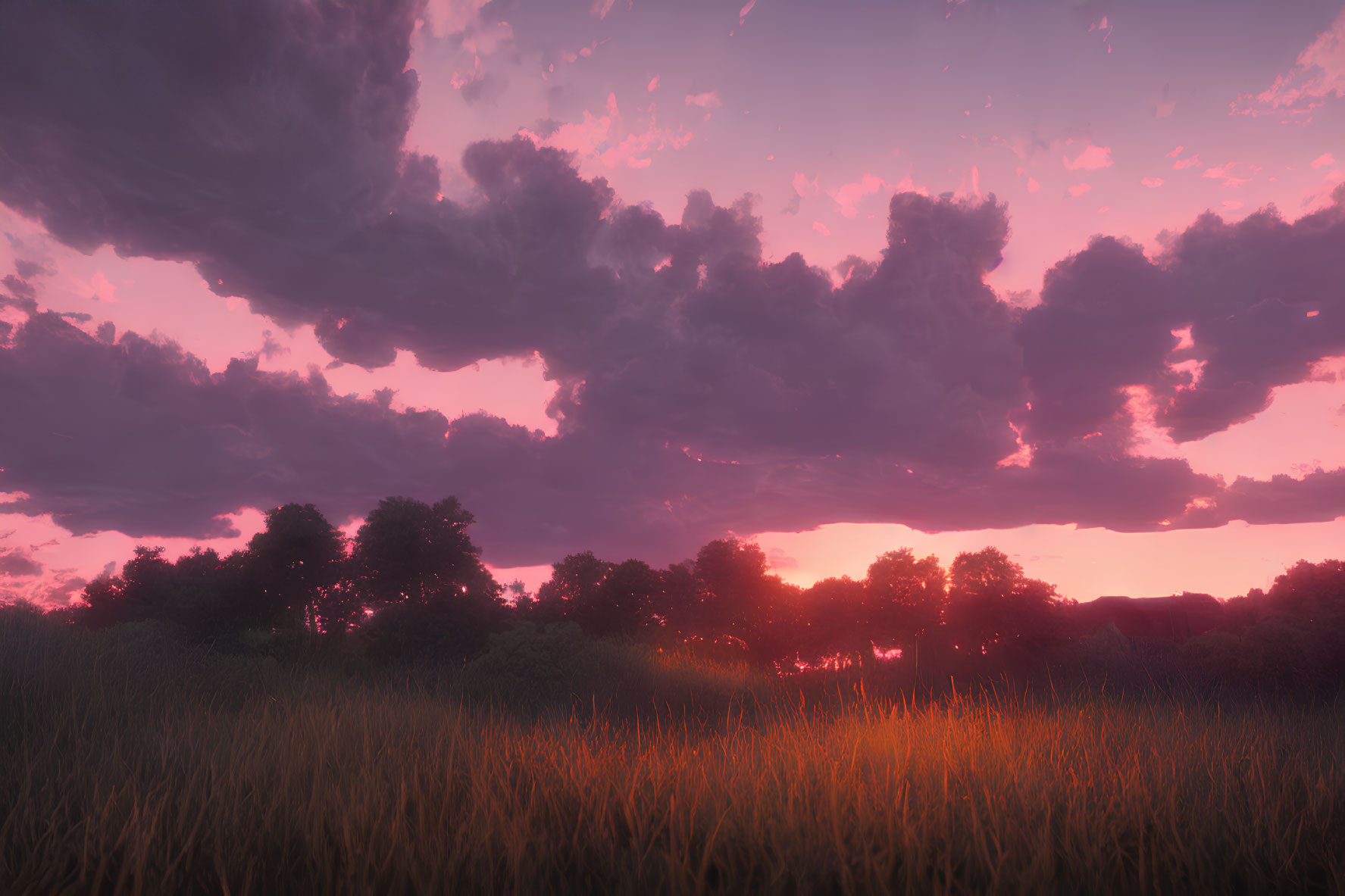 Vibrant pink and purple sunset over golden field and silhouetted trees