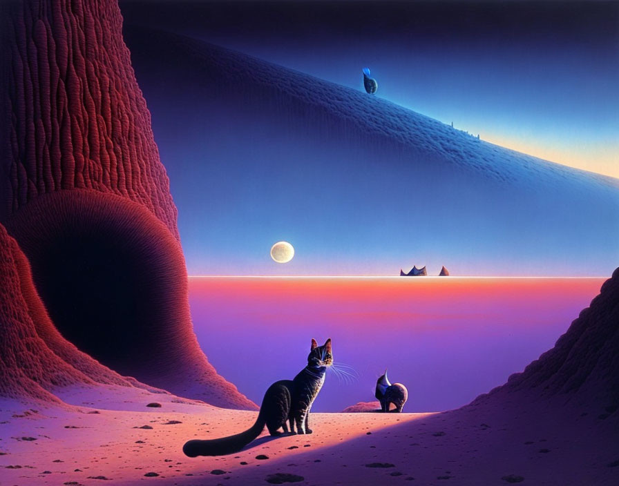 cats exploring planets