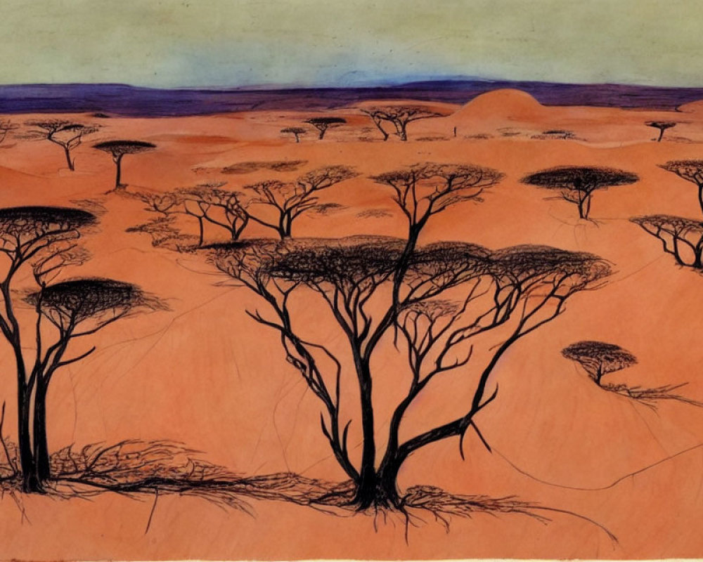 Savanna landscape with sparse trees under orange sky