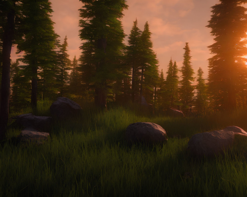 Tranquil forest sunset with tall trees and rocks in lush grass