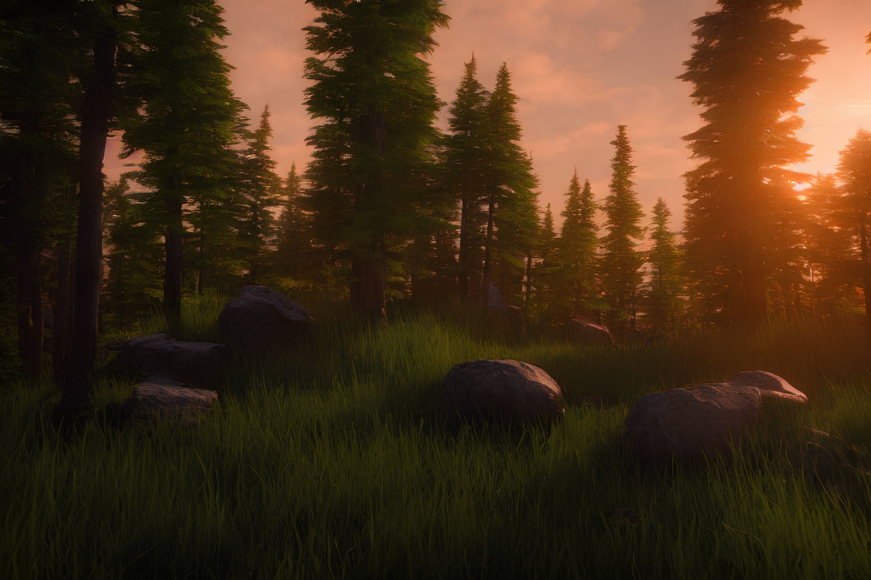 Tranquil forest sunset with tall trees and rocks in lush grass