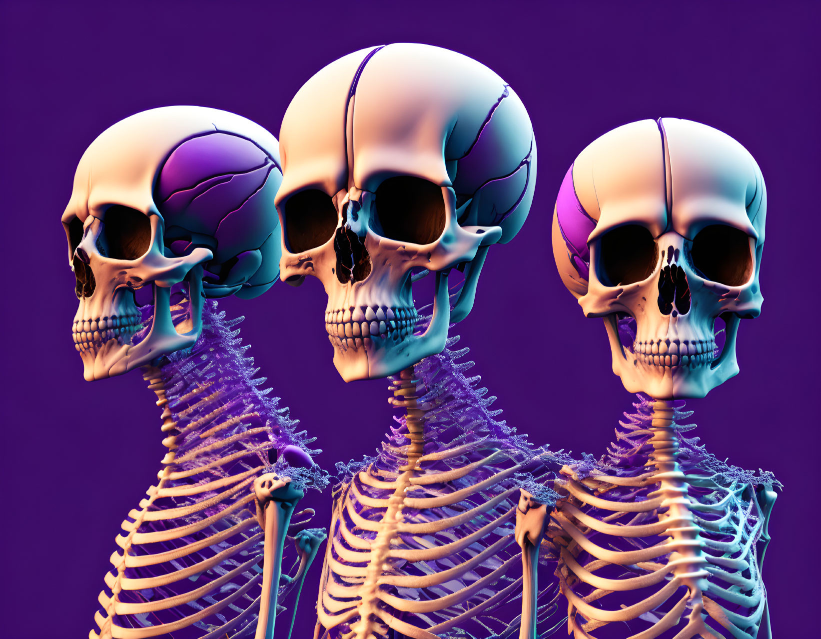 Bad posture skeletons :p