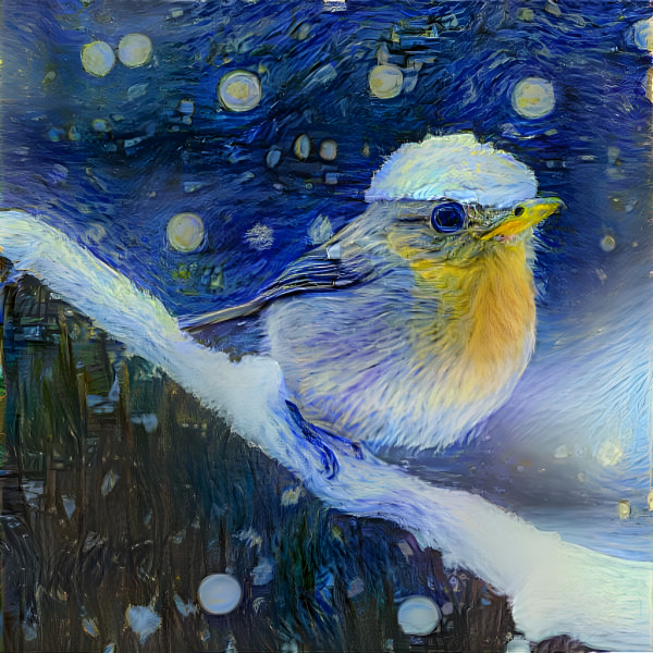 Starry Night Bird