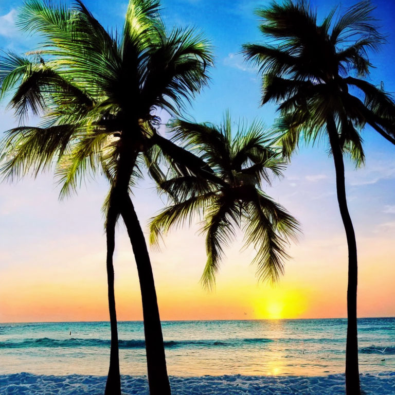 Colorful sunset over beach with palm tree silhouettes and gentle sea waves