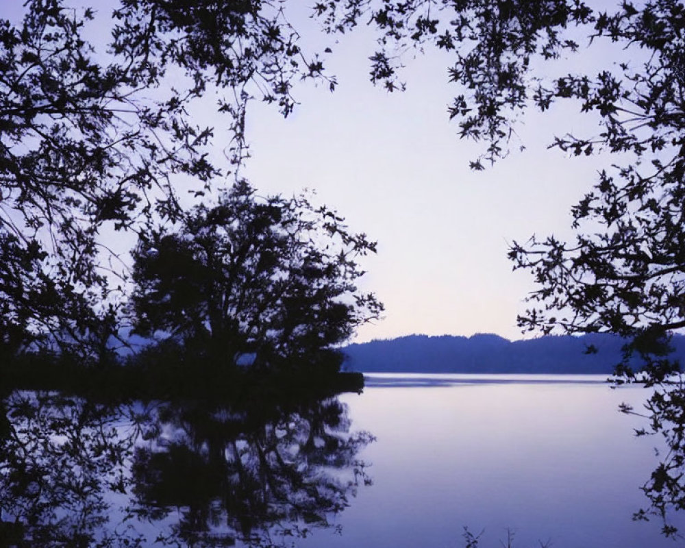 Tranquil Lake at Dusk with Silhouetted Trees